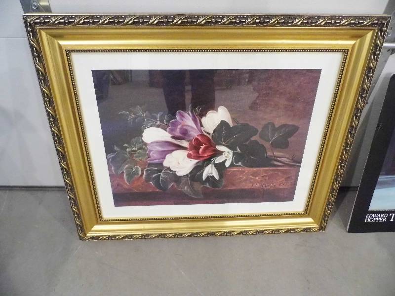 Framed Picture