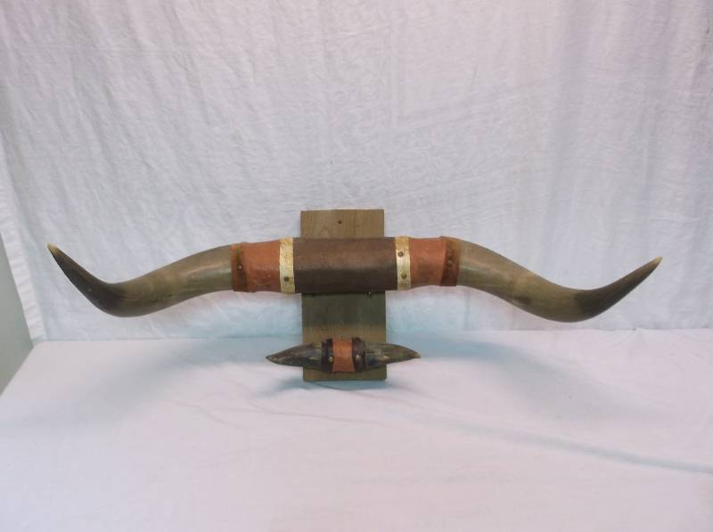 Bulls Horns
