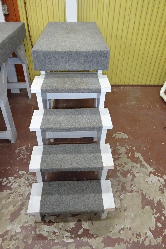 Display Steps