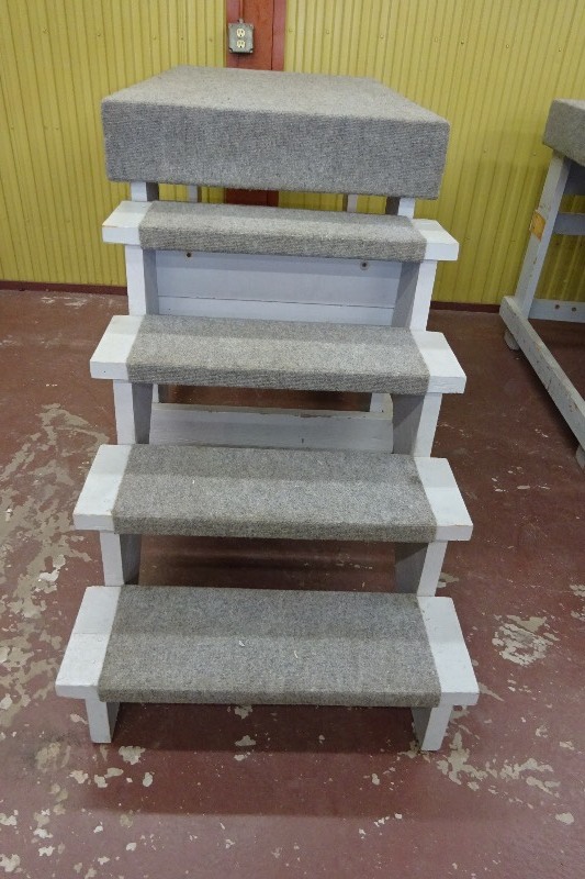 Display Steps