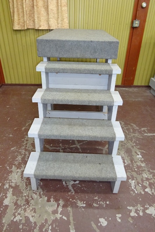 Display Steps