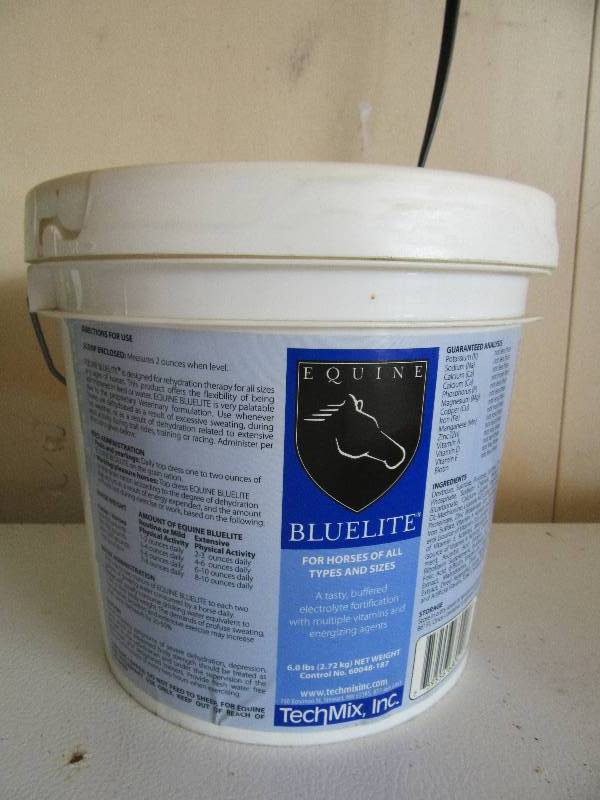 Equine Bluelite