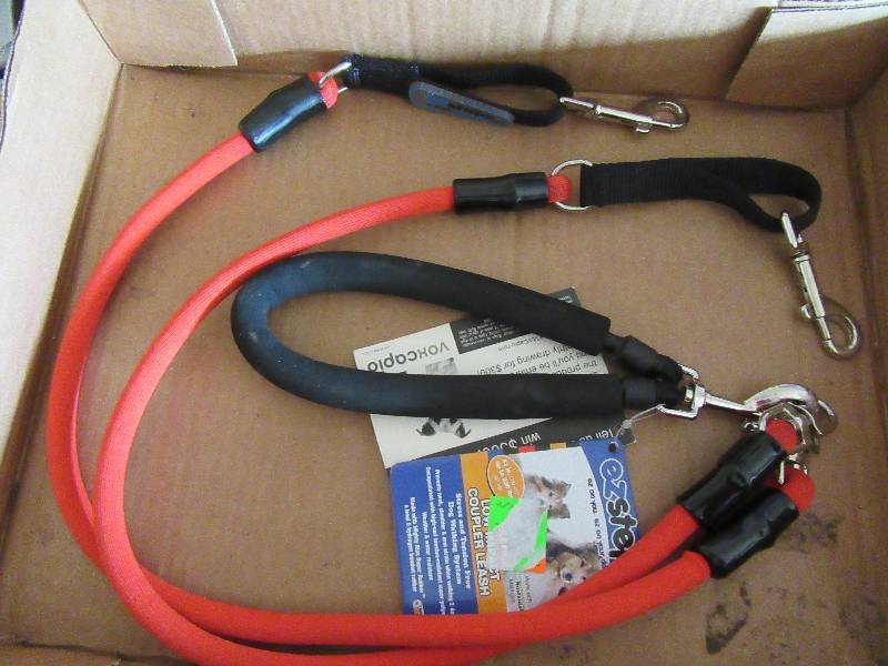 Dog Leash