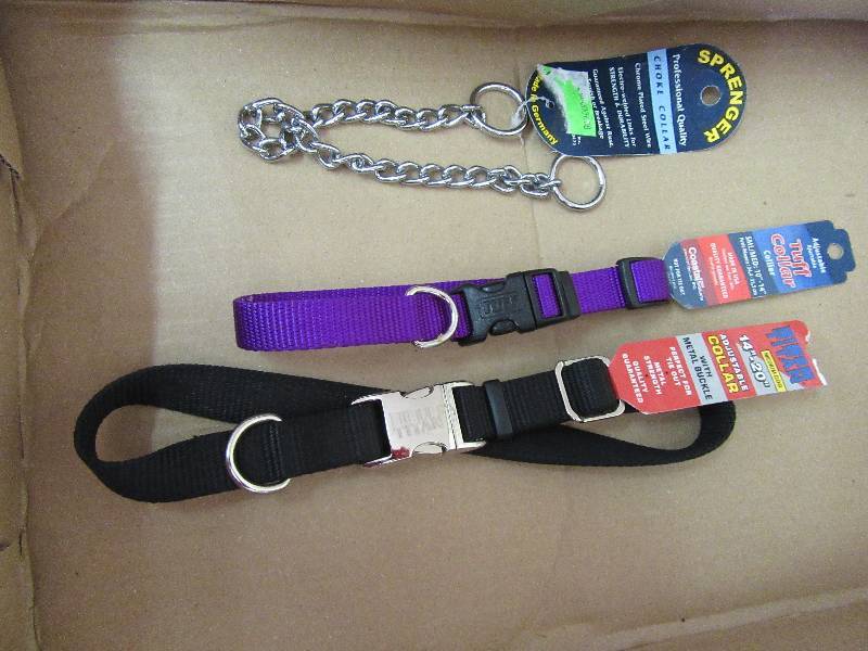 Dog Collars