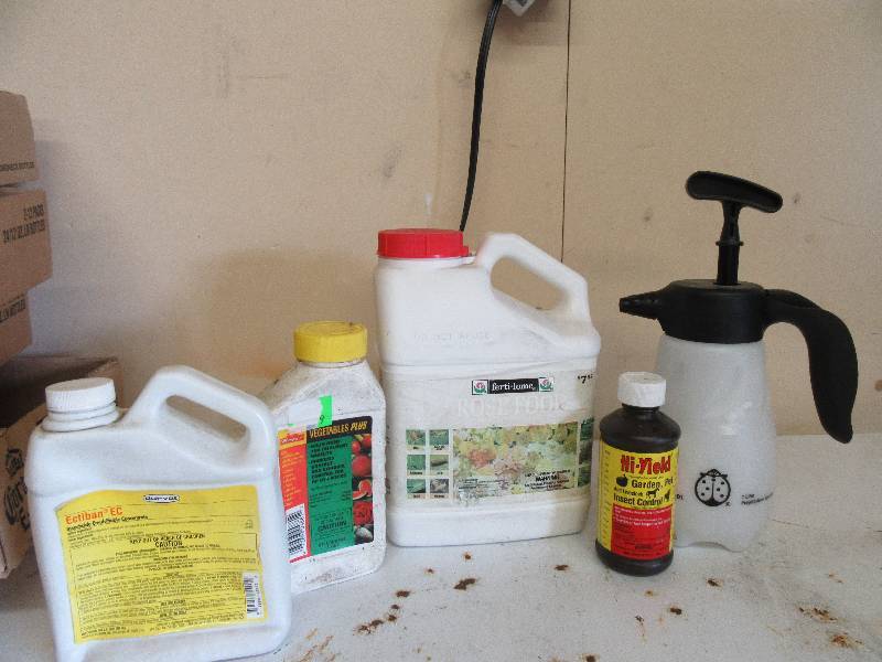 Insecticide