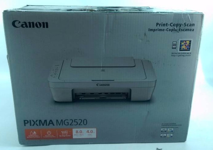 canon printer mg2520 not printing
