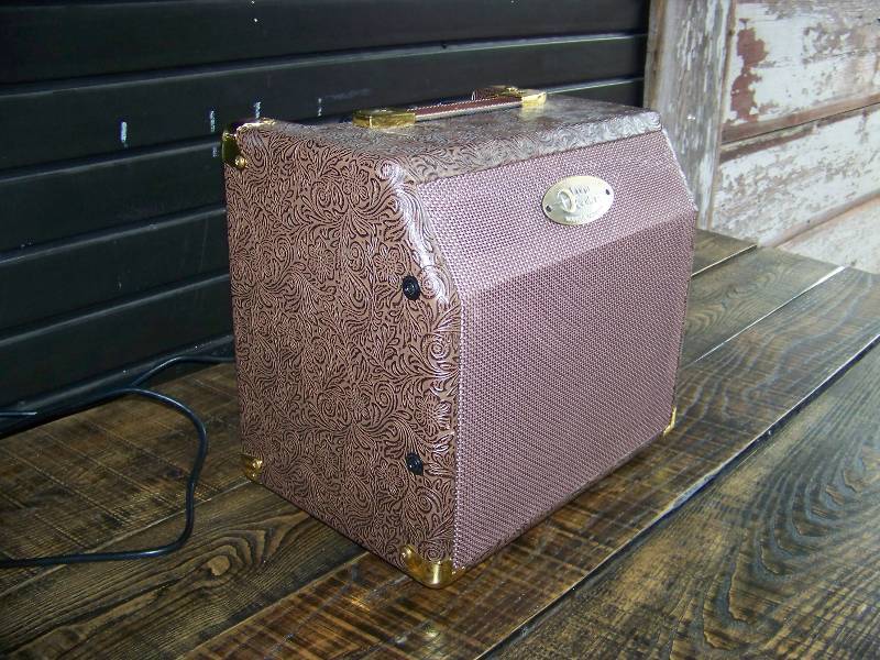 Luna Guitars, Amplifier  Amp