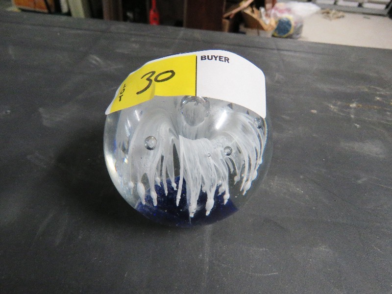 Glass Paper weights