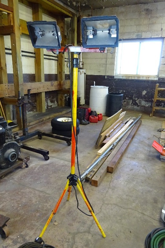 lot 10 image: Workshop light