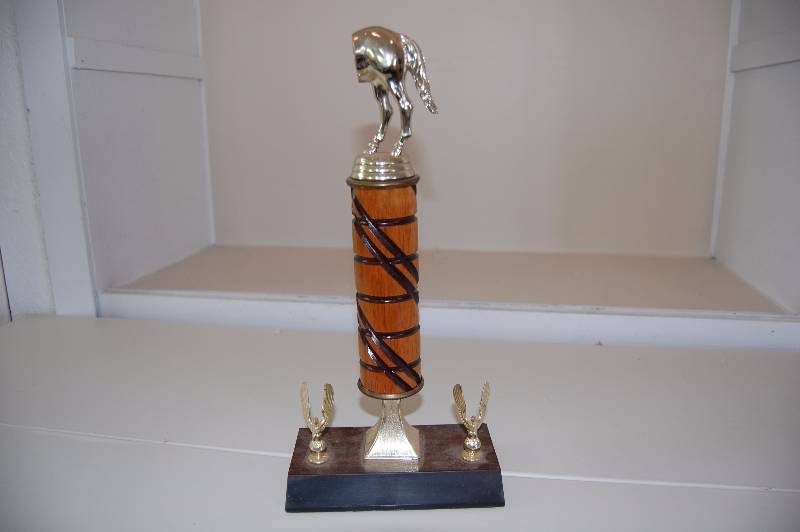 lot 12 image: Unique Trophy