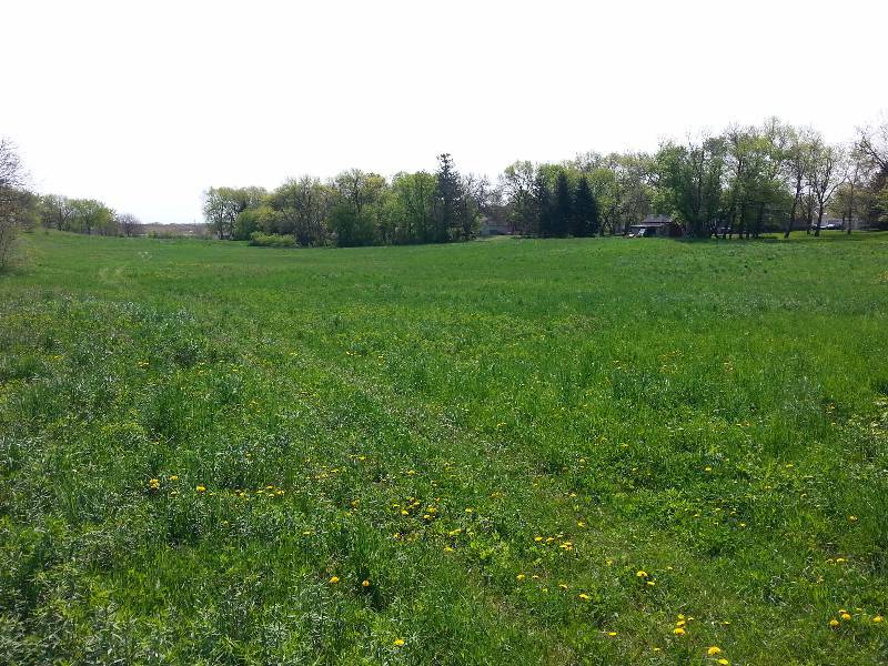 2.63 Acre Mountain Lake MN Farm Land NO RESERVE AUCTION