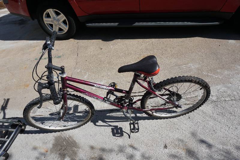 lot 25 image: Murray MT Climber 5 Speed Youth Bicycle