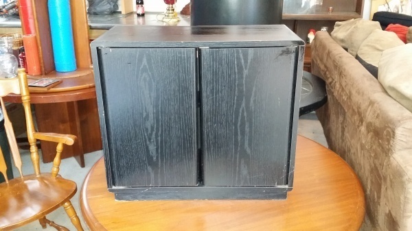 SnS Auctions # 210 Spring Cleaning
