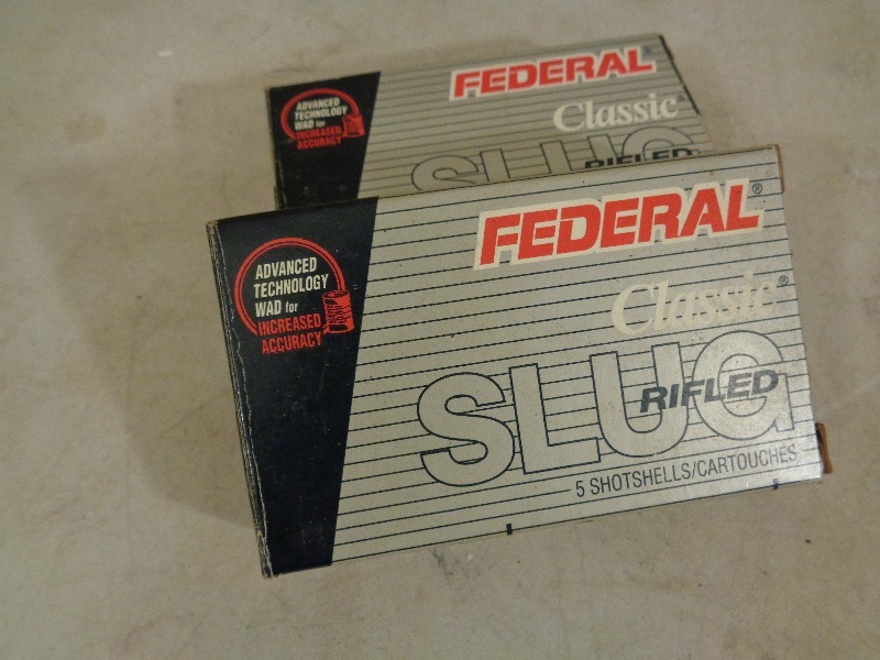 lot 6 image: 10 Rounds 12 Gauge Slugs