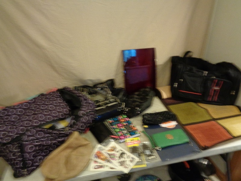 lot 169 image: Purses and More (some marked Coach & Micheal Kors)