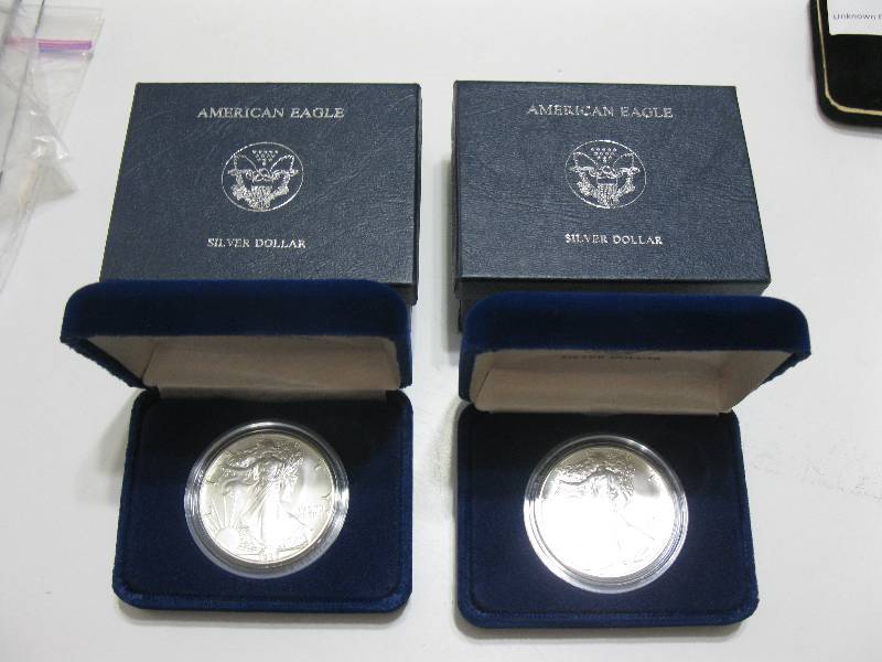 lot 234 image: 2 Amerian eagle 1988 silver dollars in case
