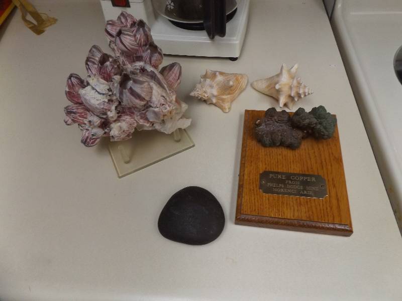 Shells and Rocks