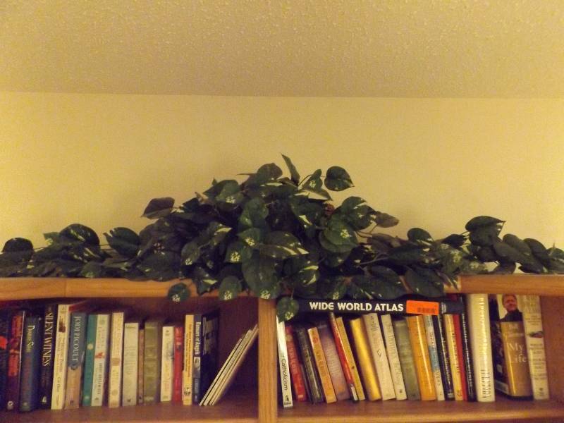 Decorative Lot