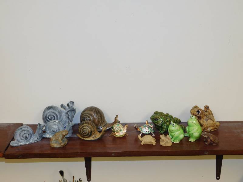 Snails turtles and frogs many shapes and sizes