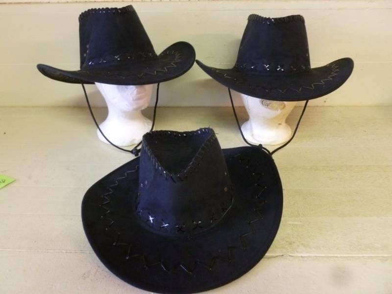 lot 246 image: Cowboy Hats
