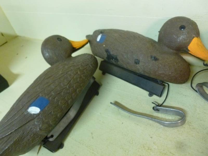 lot 287 image: Duck Decoys