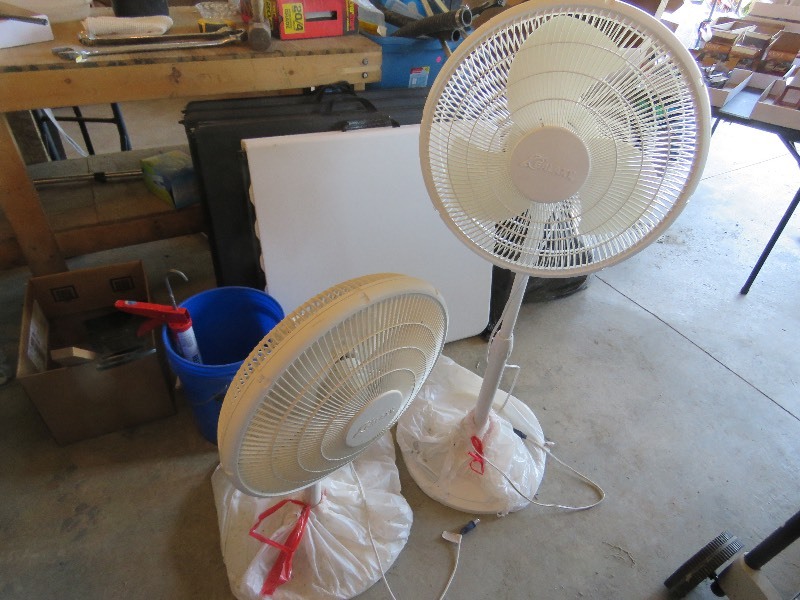 Two Fans