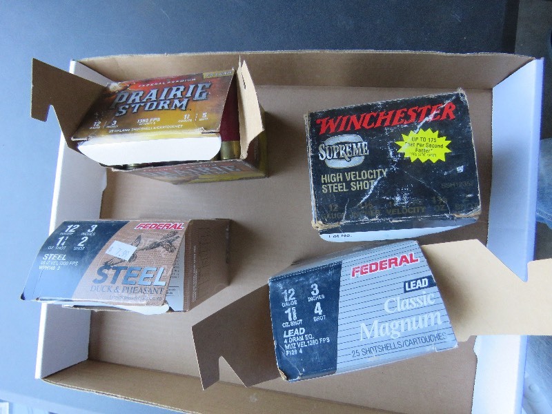 12 gauge shells
