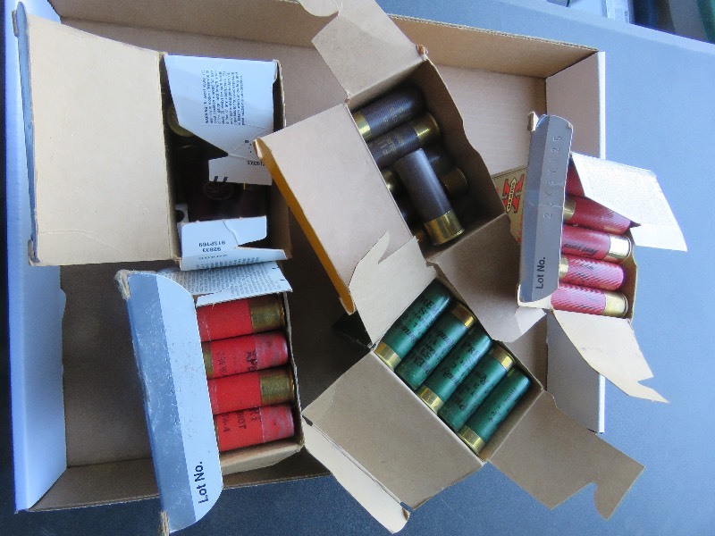 12 gauge shells