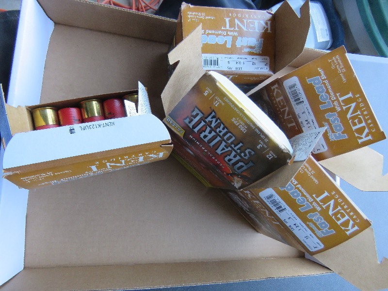 12 gauge shells