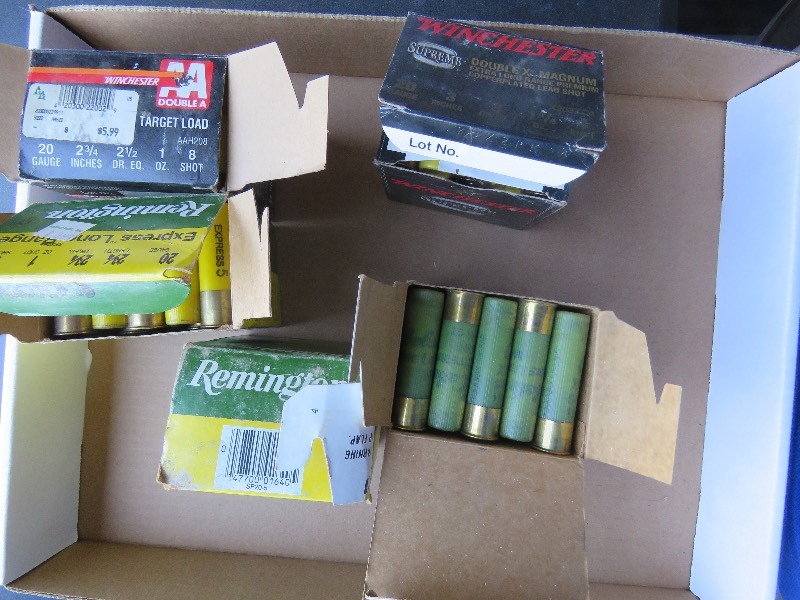 20 gauge shells