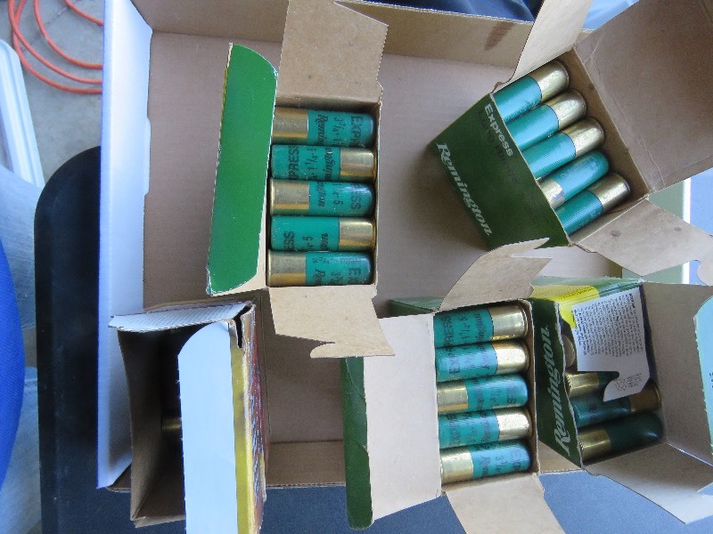 12 gauge shells