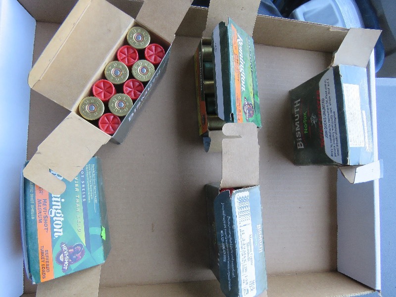 12 gauge shells