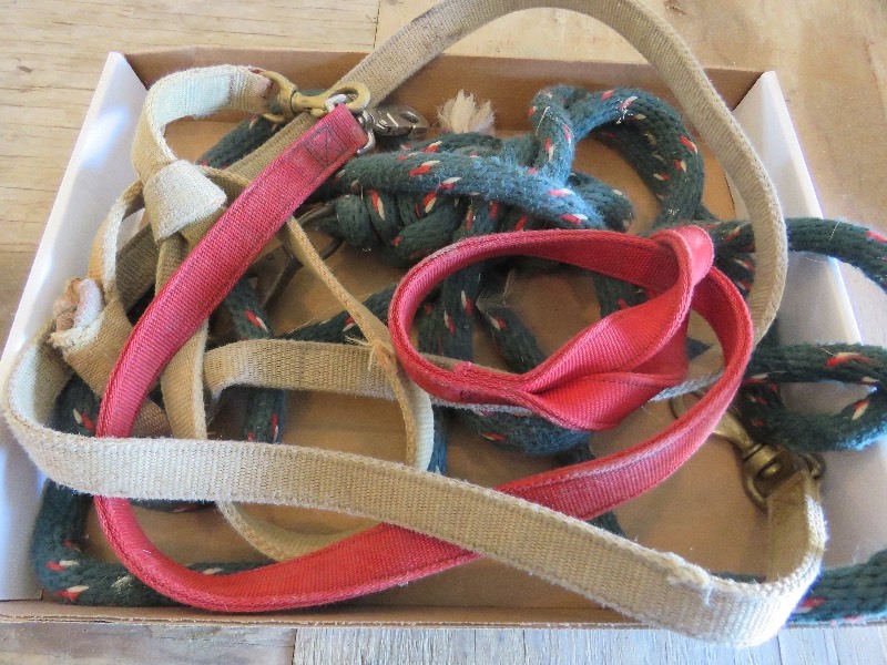 Lead Ropes
