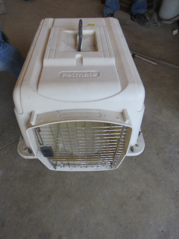 Kennel