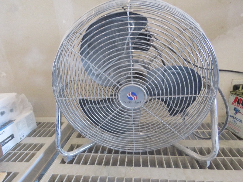 fan