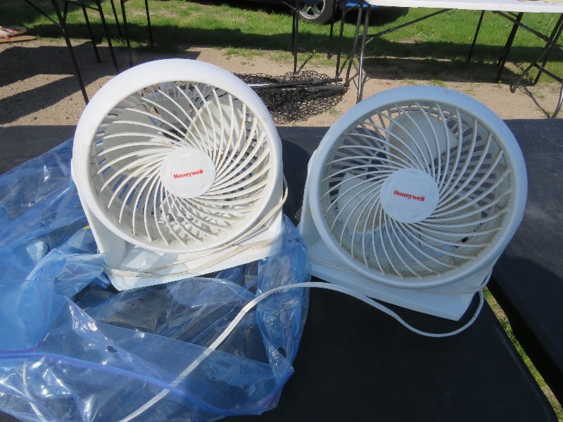fans