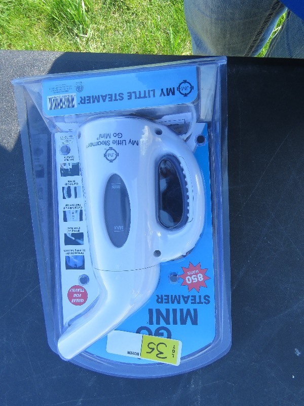 Mini Steamer