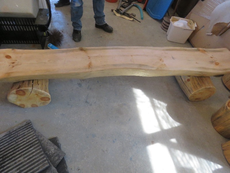 Cut Log Bench