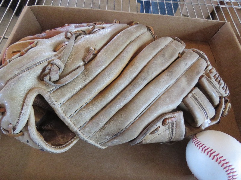 baseball gloves