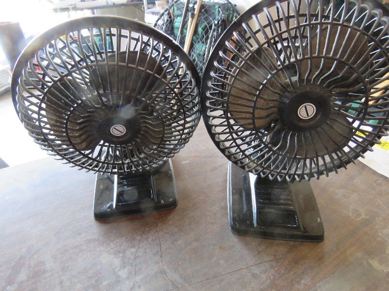 fans