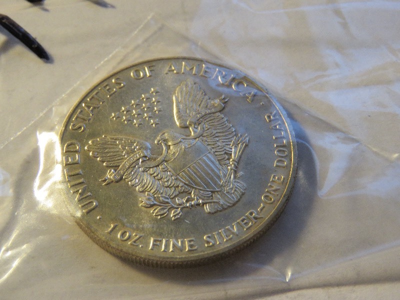 Silver Dollar