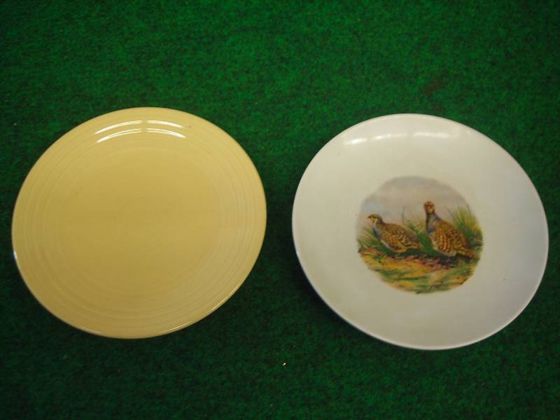 Vintage Naaman Israel Porcelain Bird Plate -And- Fiesta Dinner Plate