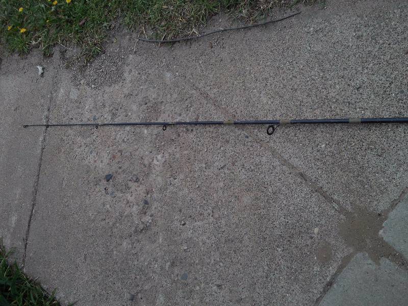 lot 77 image: quantem sport rod and reel
