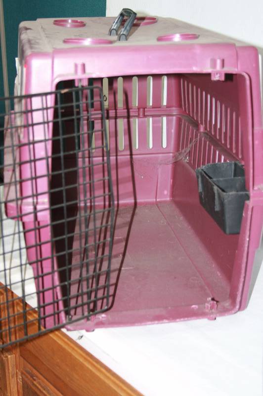 Plastic Travel Dog Crate