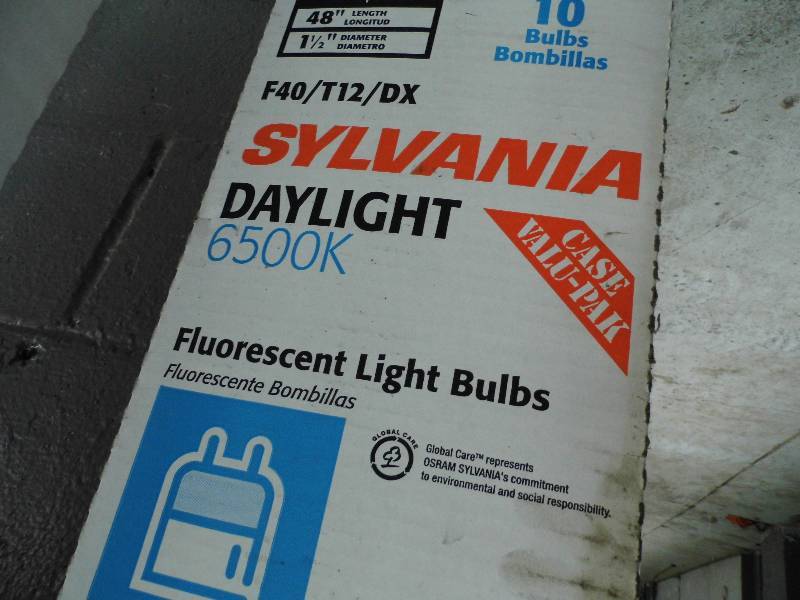 lot 26 image: Light Bulbs