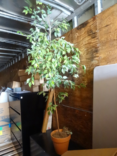 Artificial Tree