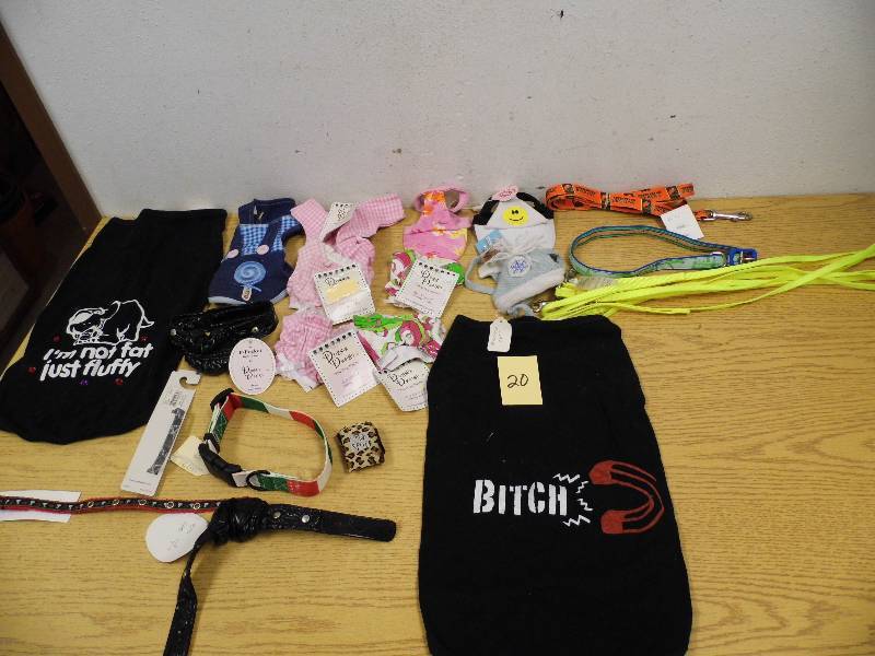 Assorted Dog Clothing & Leashes