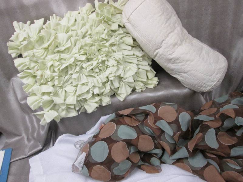 2 assorted pillows, 1 white shower ...