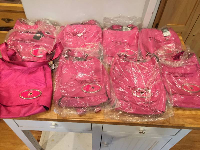 lot 115 image: Lot of NFL Pink Ribbon Crossbody Purses