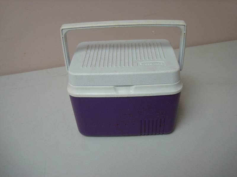 lot 38 image: Small Purple Hand Held Cooler